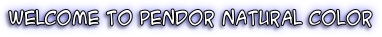 Welcome to Pendor Natural Color